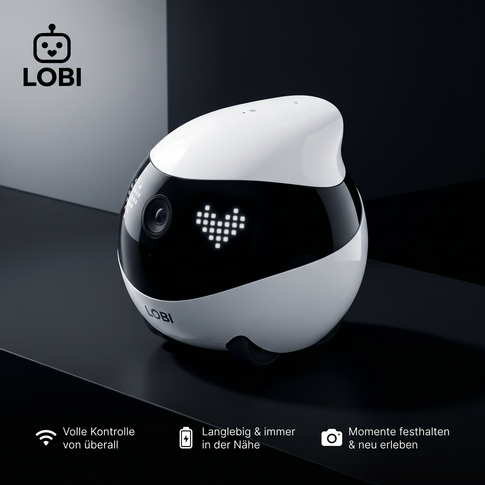 LOBI EXPERT